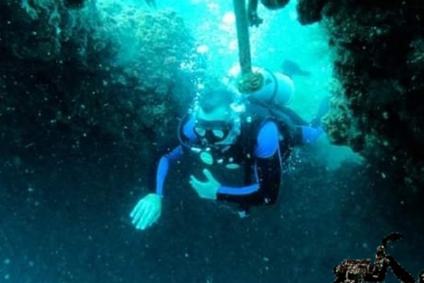 Scuba diving 120 minute with boat ride