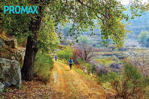 ProMax hiking all over Lebanon; guides, event organization & lunch box