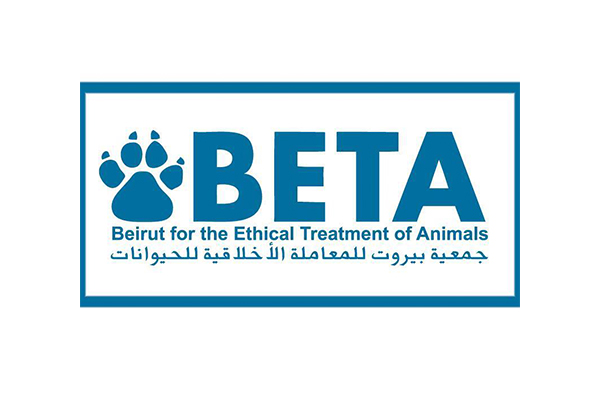 Beta animal points Donation worth 2.5$